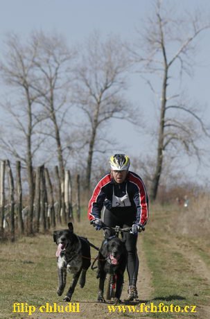 Hustopece 08 - 065.JPG